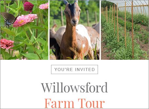 Willowsford farm tour